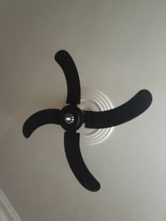 6 SK FANS Antique Plus Model