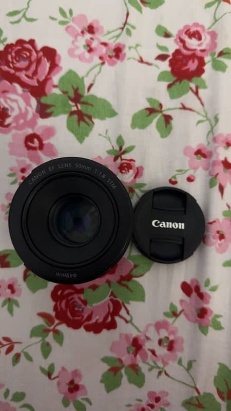 Canon EF lens 50mm 4