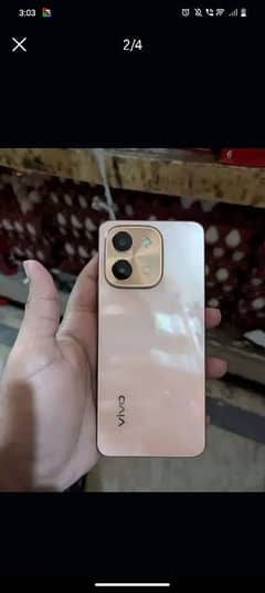 vivo