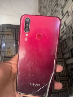 Vivo