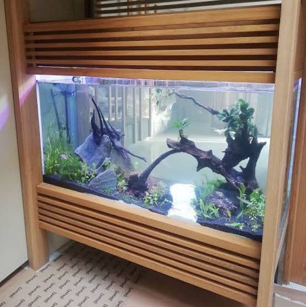 aquarium for sale 2