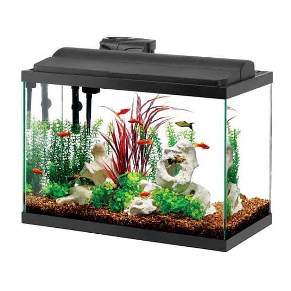 aquarium for sale 4