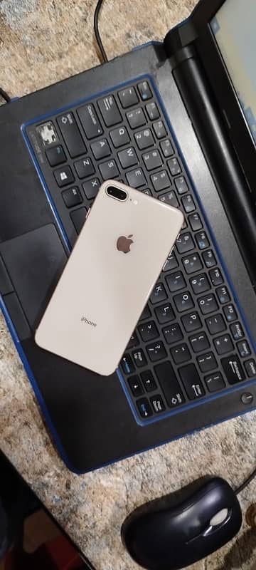 iPhone 8plus pta approved in low proce 4