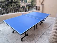 Table Tennis 10/10 MDF