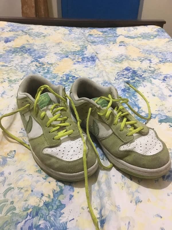 Nike SB dunk low pro green apple 0