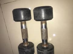 dumbels pair