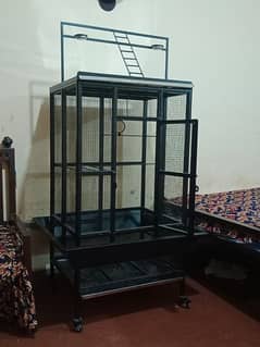 Bird Cage, Pinjra, for Sale