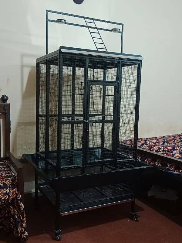 Bird Cage, Pinjra, for Sale 2