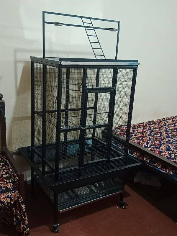 Bird Cage, Pinjra, for Sale 3