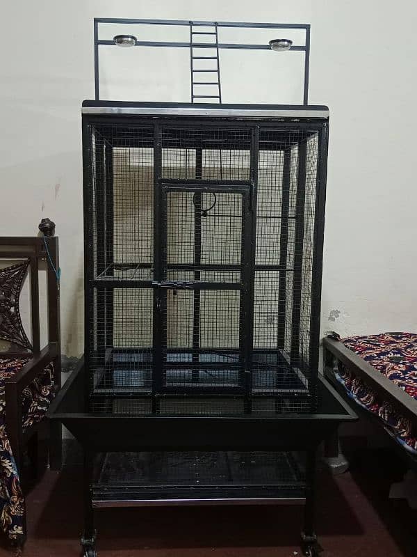 Bird Cage, Pinjra, for Sale 4