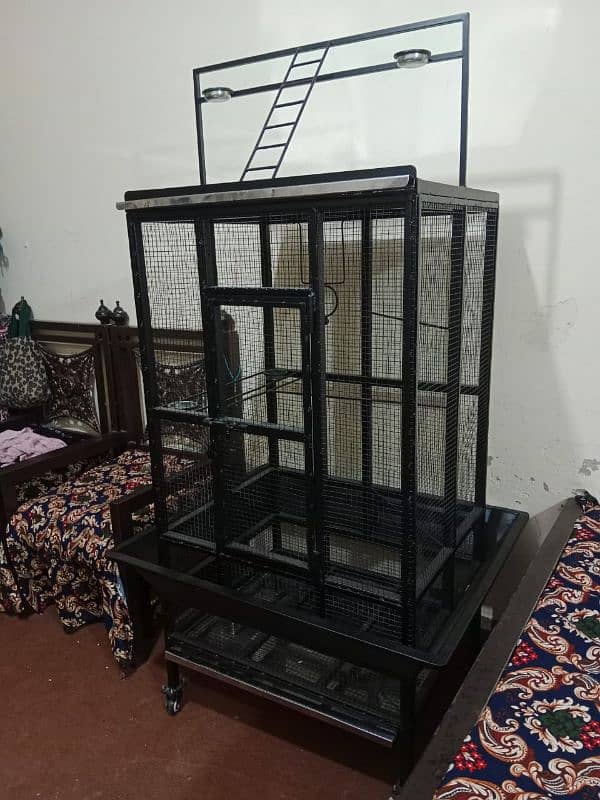 Bird Cage, Pinjra, for Sale 5