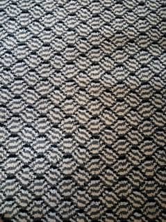 Carpet. . . .