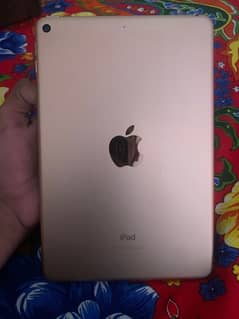 ipad Mini 5 64 GB Golden Color available with Box