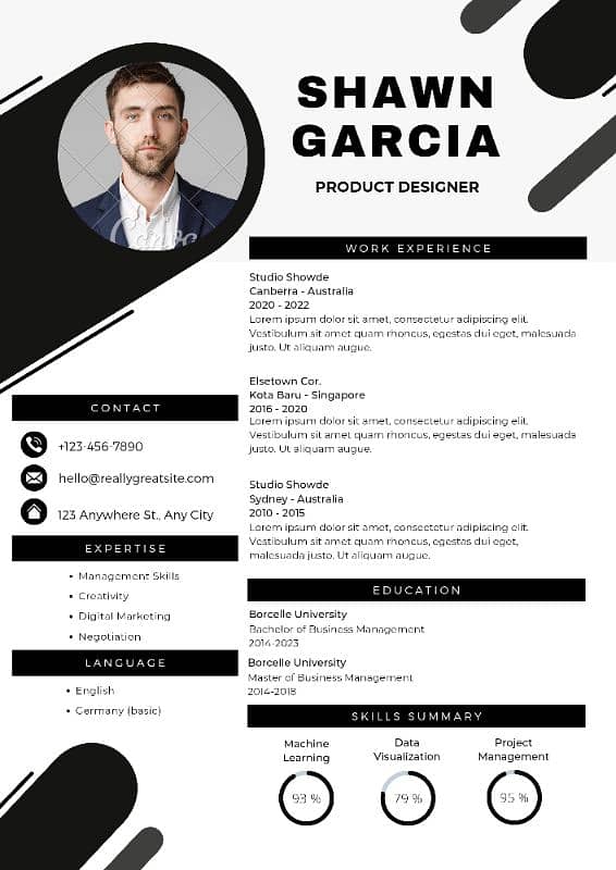 Professional CV Maker 1