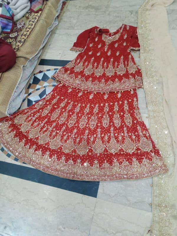 bridal lahnga with contrast dubata 7