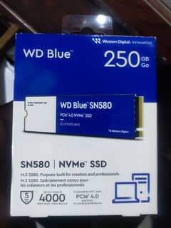 WD's SSD