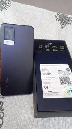 vivo