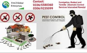 A to Z Global Enterprises | Pest Control | Termite (Deemak) Control