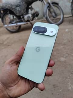 Google Pixel 9  Dual approved