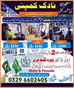 Car Driver jobs , Bike Rider Jobs, Company Work Visa , Jobs in saudia