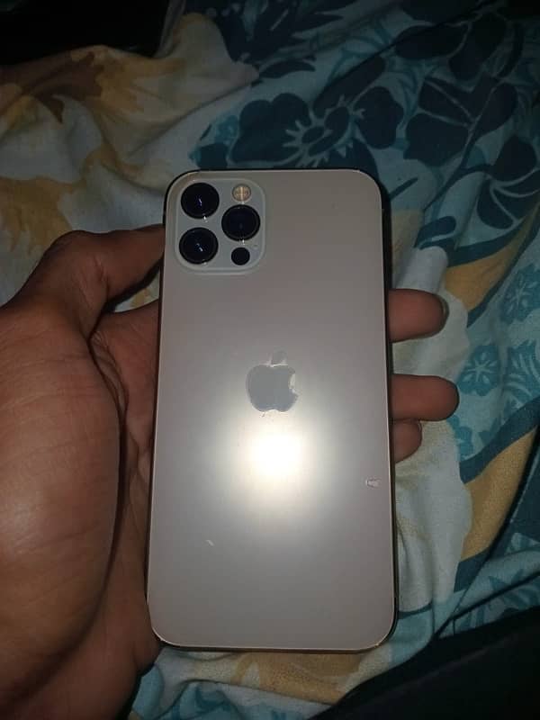 iPhone 12 Pro 0