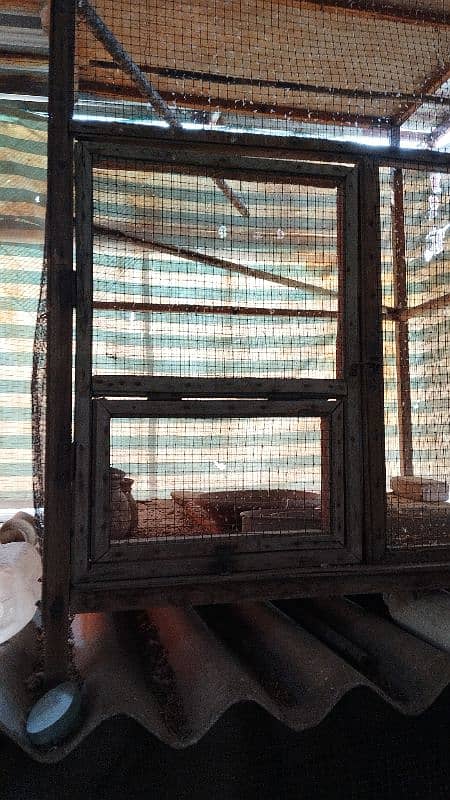 cage for sale wooden cage 2