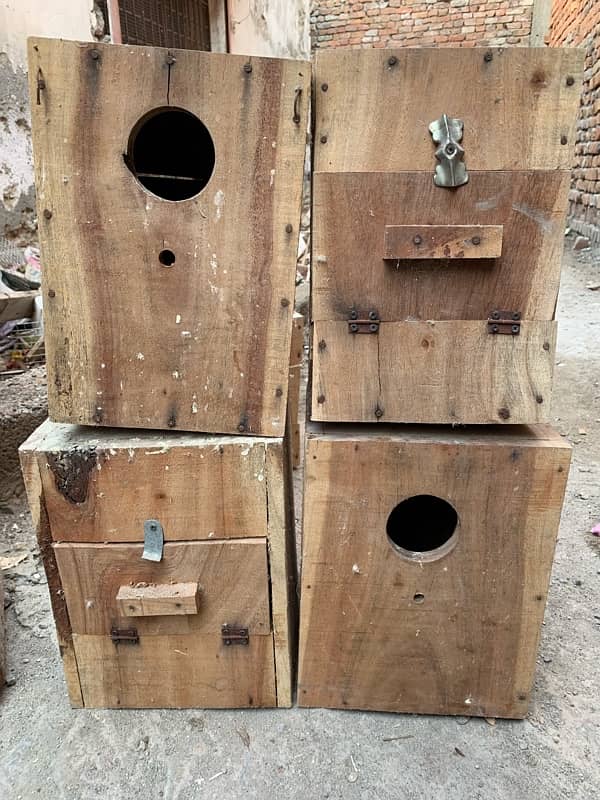 lovebird keekar breeding BOX used 0