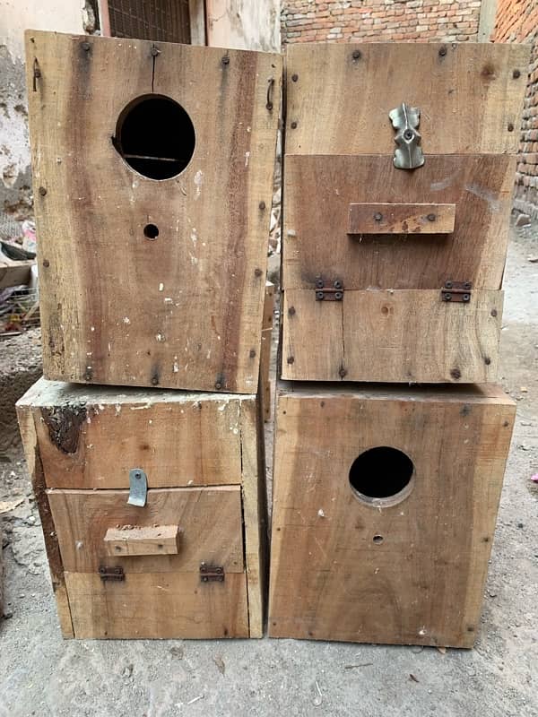 lovebird keekar breeding BOX used 1