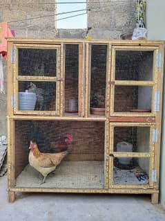 Fiber Wooden Colony Cage For Sale