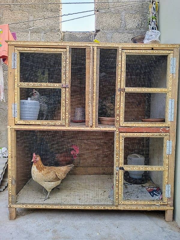 Fiber Wooden Colony Cage For Sale 0