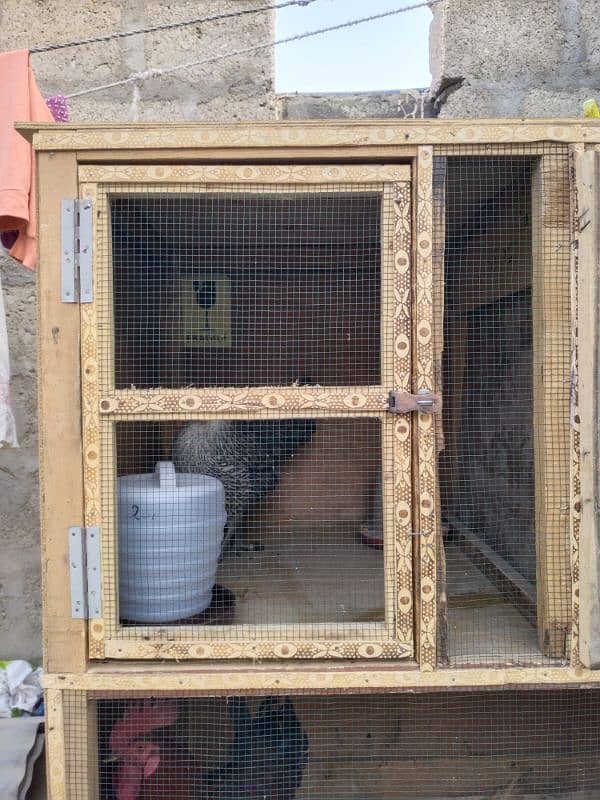 Fiber Wooden Colony Cage For Sale 2