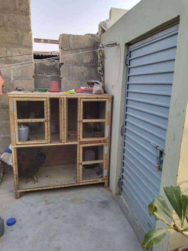 Fiber Wooden Colony Cage For Sale 19