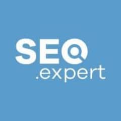 SEO Expert Required