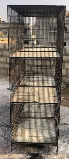 06 partition cockatiel and lutino cage for sale