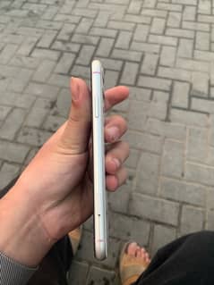 iPhone 11 pta approved