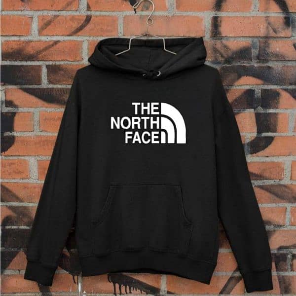 the north face hoodie 1