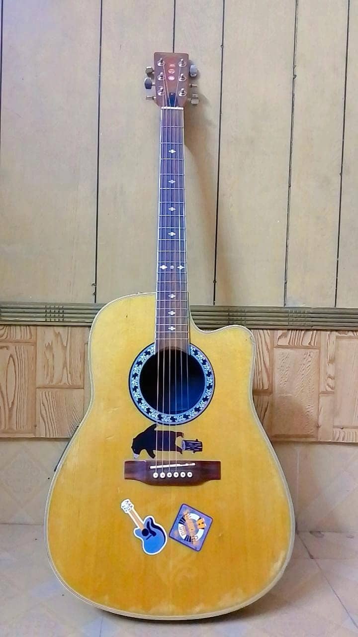 Professional Semi-Acoustic Guitar Of johnson 0