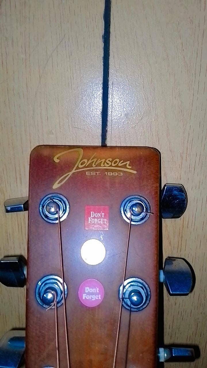 Professional Semi-Acoustic Guitar Of johnson 2