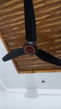 Ceiling Fan