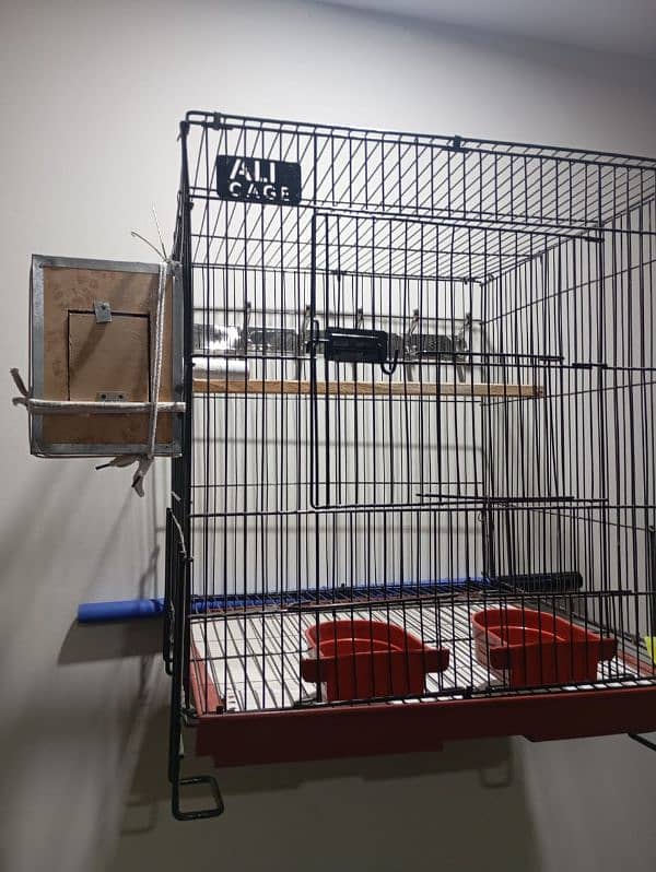 brand new cage for sale with all basic accessories except parrots 0