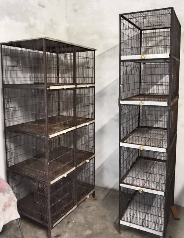 Birds cage hen cage condition 10 by 9  number 03454436330 3