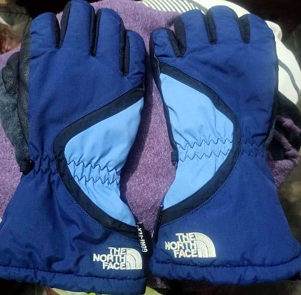 North Face Original Hand Gloves Medium Sized 1