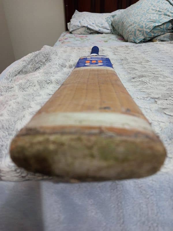 Ceat Cricket Bat English willow 2