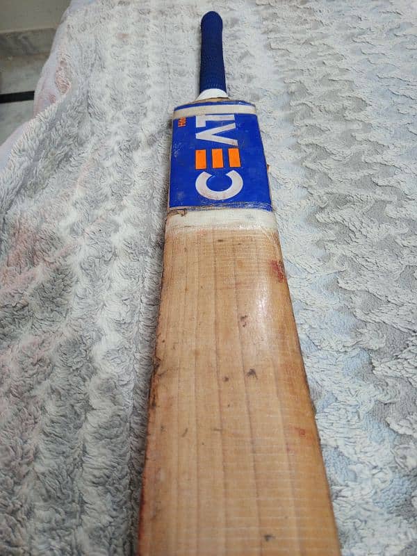 Ceat Cricket Bat English willow 4