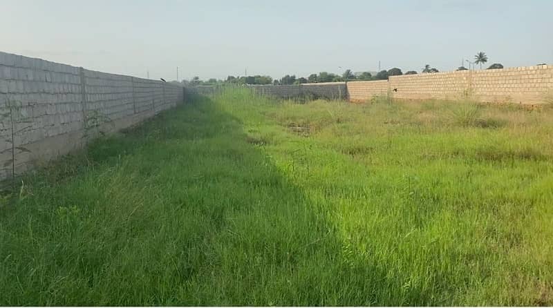 Cattle & Dairy Farm Land For Rent 2