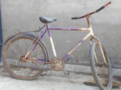 bicycle