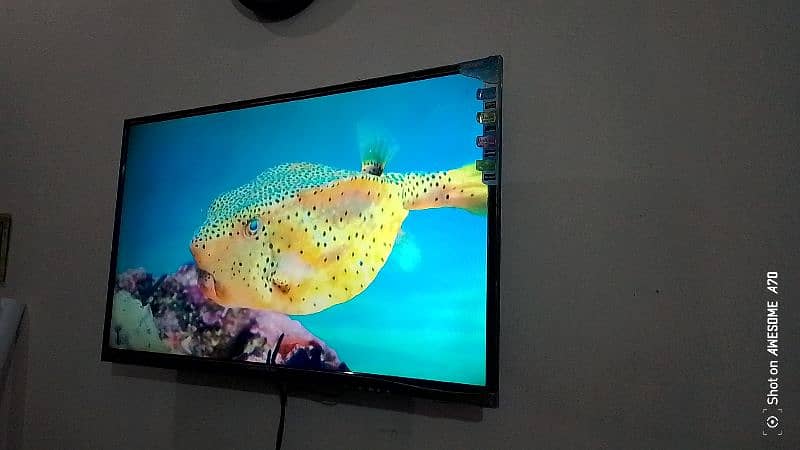 changhong ruba Simple led 39 "with original box lush condition 4