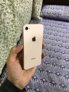 iphone 8 64 gb