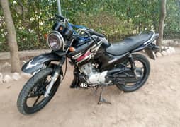 yamaha ybr125G