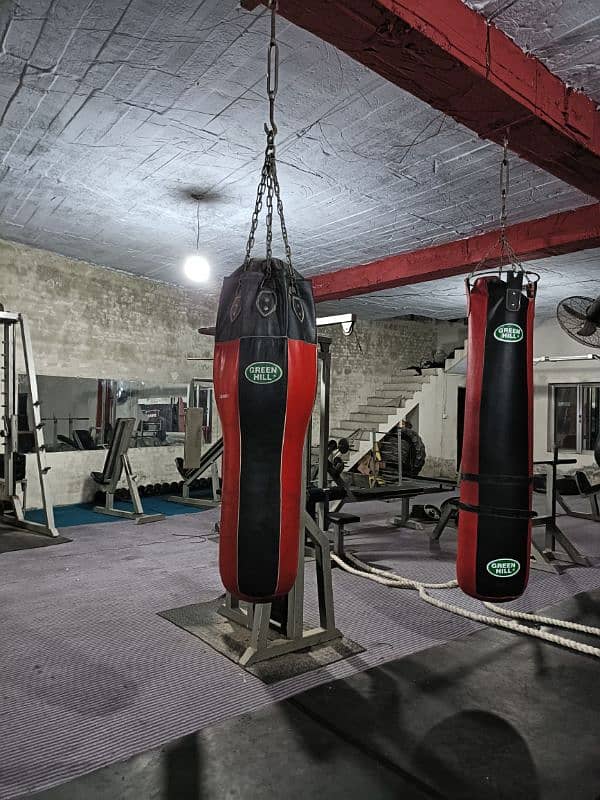 Complete gym for sale 13